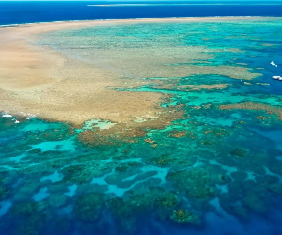 keindahan-great-barrier-reef-yang-bikin-takjub