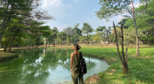 keindahan-taman-bambu-di-cipayung-jakarta-timur