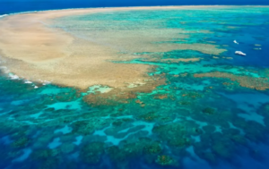 Pesona Great Barrier Reef sebagai Surga Wisata Bahari