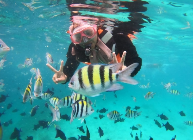 Keindahan Bawah Laut Pulau Rubiah di Sabang