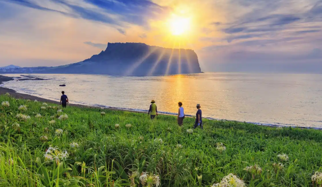 Liburan Romantis di Pulau Jeju dengan Alam Eksotis