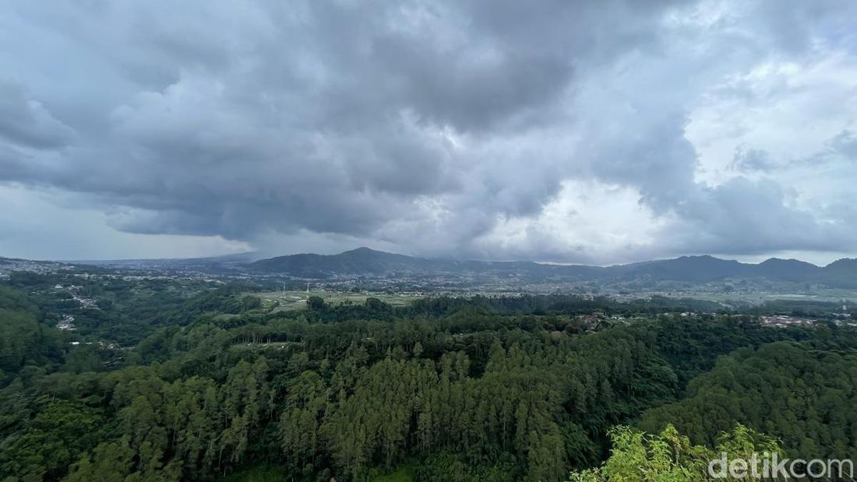 Tebing Keraton Bandung Review Pemandangan Hutan Pinus Hijau
